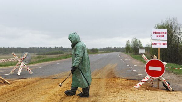 Вспышка африканской чумы свиней в Новгородской области Вспышка африканской чумы свиней в Новгородской области