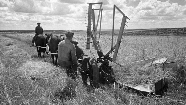 Колхозники косят траву Колхозники косят траву