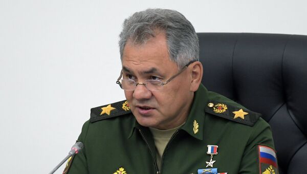 Министр обороны РФ Сергей Шойгу. Архивное фото Министр обороны РФ Сергей Шойгу. Архивное фото
