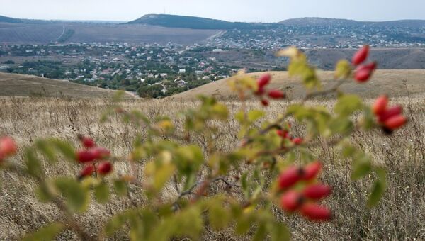 Шиповник в окрестностях села Клиновка Симферопольского района в Крыму Шиповник в окрестностях села Клиновка Симферопольского района в Крыму