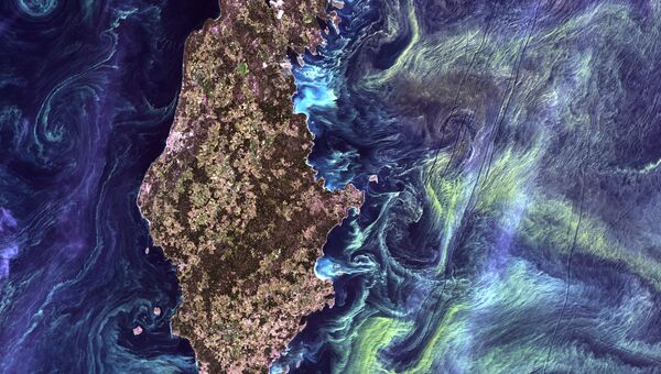 Массовые скоплений фитопланктона в темной воде вокруг острова Готланд в Балтийском море. 2005 год Массовые скоплений фитопланктона в темной воде вокруг острова Готланд в Балтийском море. 2005 год