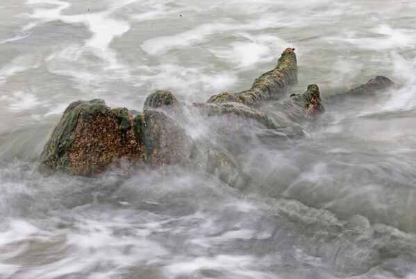 Берег Балтийского моря, где вода отступила от берега на 20 метров, обнажив пни реликтовых деревьев Берег Балтийского моря, где вода отступила от берега на 20 метров, обнажив пни реликтовых деревьев