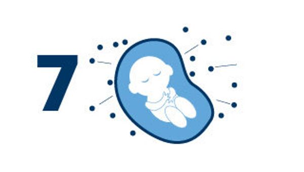 8 фактов об иммунитете 8 фактов об иммунитете