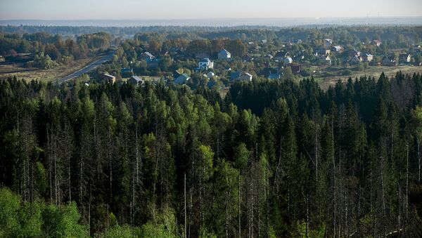 Зелёный щит защитит российские города. Архивное фото Зелёный щит защитит российские города. Архивное фото