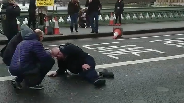 В Лондоне у здания парламента произошла стрельба. Видео с места событий В Лондоне у здания парламента произошла стрельба. Видео с места событий