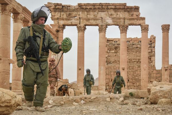 Российские саперы разминируют историческую Пальмиру и жилые кварталы Российские саперы разминируют историческую Пальмиру и жилые кварталы