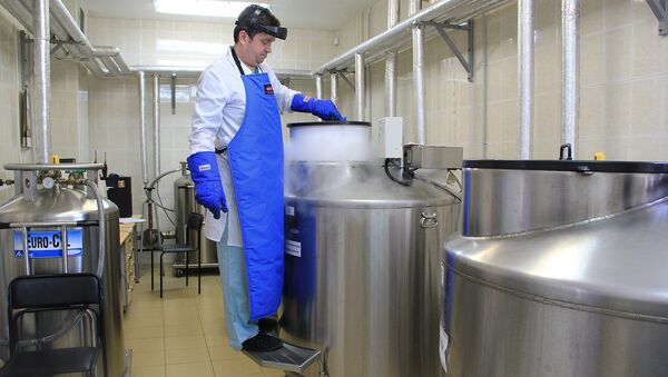 Врач-трансфузиолог достает кассеты с замороженными эритроцитами Врач-трансфузиолог достает кассеты с замороженными эритроцитами