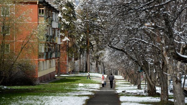 Жители на улице после снегопада в Новосибирском Академгородке Жители на улице после снегопада в Новосибирском Академгородке