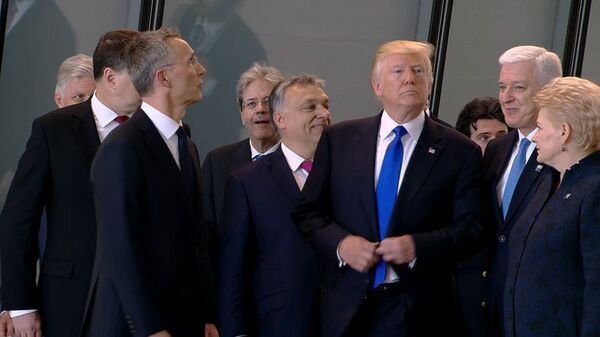 Трамп оттолкнул премьера Черногории на экскурсии по штаб-квартире НАТО Трамп оттолкнул премьера Черногории на экскурсии по штаб-квартире НАТО