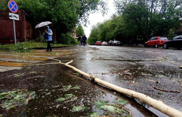 Сломанное ураганом дерево на улице города Москвы Сломанное ураганом дерево на улице города Москвы