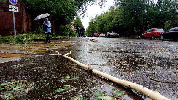 Сломанное ураганом дерево на улице города Москвы Сломанное ураганом дерево на улице города Москвы