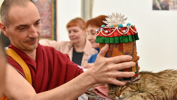 Будийский ритуал благословения домашних питомцев москвичей Будийский ритуал благословения домашних питомцев москвичей