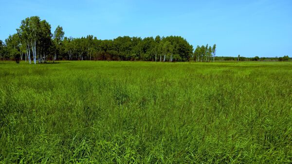 "Podizanje" za poljoprivrednike: Program Lenjingradskog hektara započeo je u regiji Lenjingrad