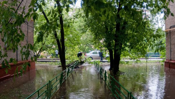 Последствия урагана в Москве Последствия урагана в Москве
