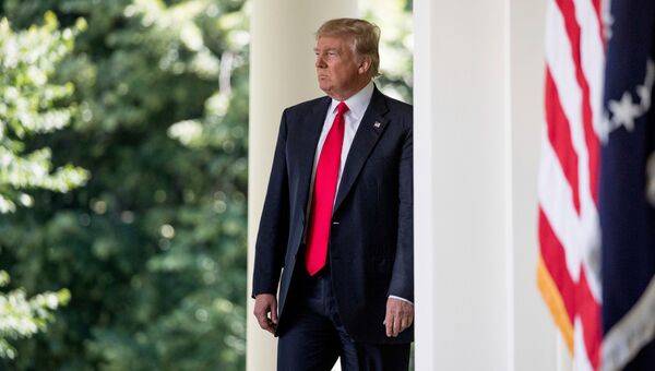 Президент США Дональд Трамп. Архивное фото Президент США Дональд Трамп. Архивное фото