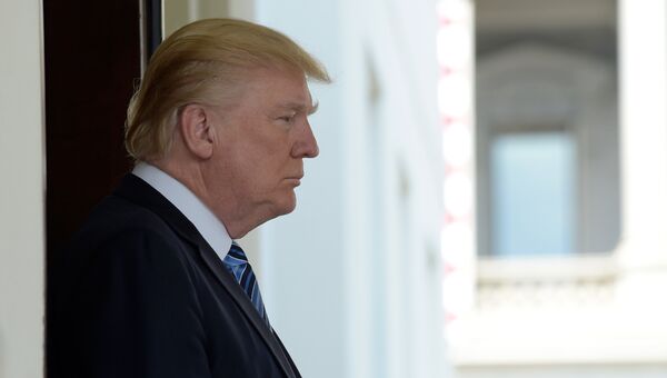 Президент США Дональд Трамп. Архивное фото Президент США Дональд Трамп. Архивное фото