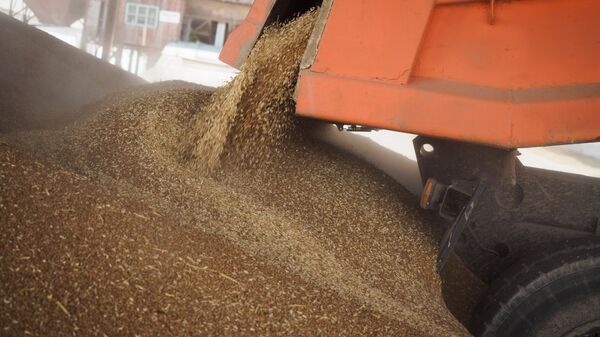 Россия приостановила экспорт зерна