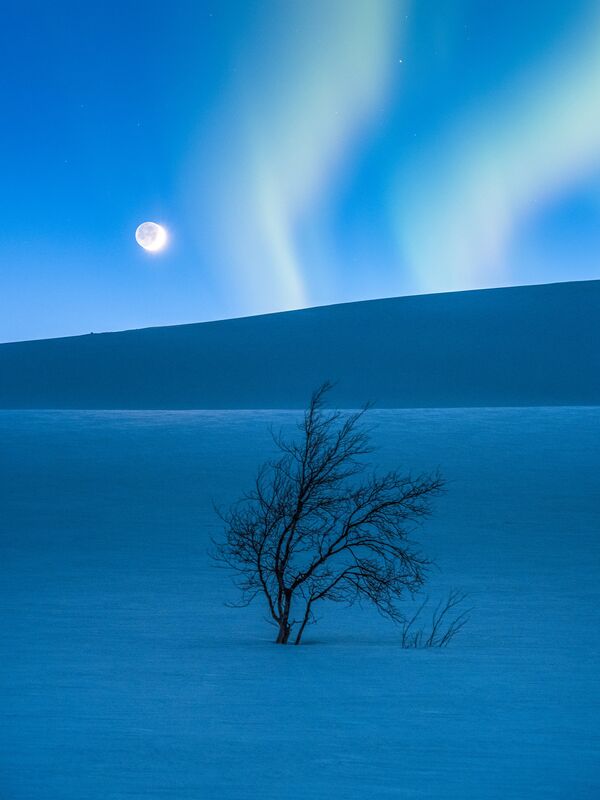 Работа фотографа Tommy Eliassen The Blue Hour, вошедшая в шорт-лист Insight Astronomy Photographer of the Year 2017 Работа фотографа Tommy Eliassen The Blue Hour, вошедшая в шорт-лист Insight Astronomy Photographer of the Year 2017
