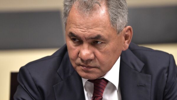 Министр обороны РФ Сергей Шойгу. Архивное фото Министр обороны РФ Сергей Шойгу. Архивное фото