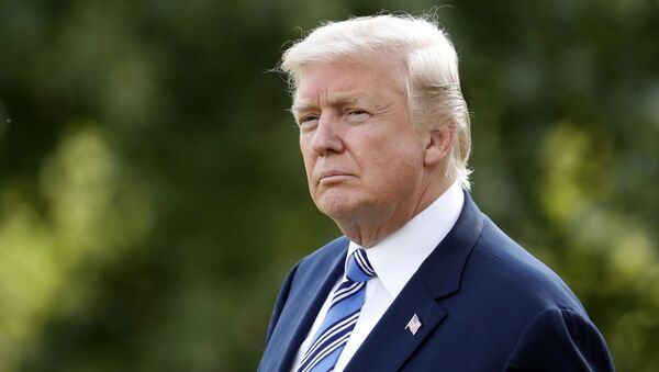 Президент США Дональд Трамп. Архивное фото Президент США Дональд Трамп. Архивное фото