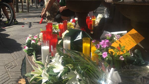Во время мероприятия посвященного памяти жертв теракта в Барселоне. 18 августа 2017 Во время мероприятия посвященного памяти жертв теракта в Барселоне. 18 августа 2017