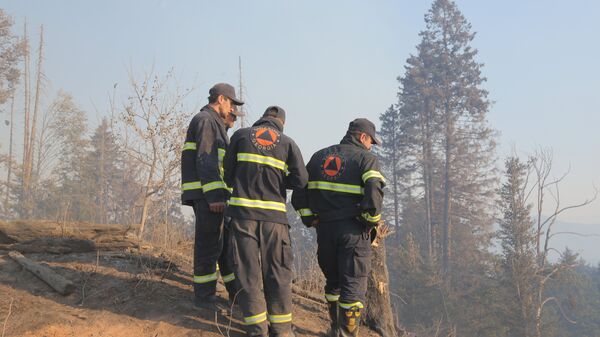 В Атенском ущелье в Грузии ликвидировали почти все лесные пожары