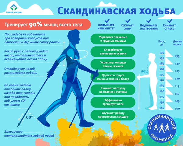 Принципы скандинавской ходьбы Принципы скандинавской ходьбы