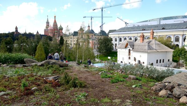 Зелень в природно-ландшафтном парке Зарядье в Москве Зелень в природно-ландшафтном парке Зарядье в Москве
