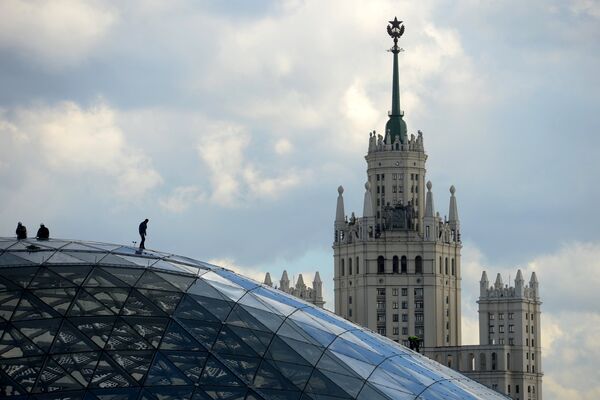 Стеклянная кора в природно-ландшафтном парке Зарядье в Москве Стеклянная кора в природно-ландшафтном парке Зарядье в Москве