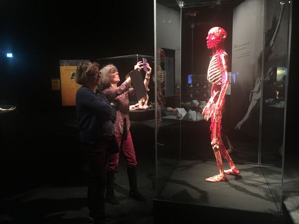 Открытие выставки Body Worlds в Женеве Открытие выставки Body Worlds в Женеве
