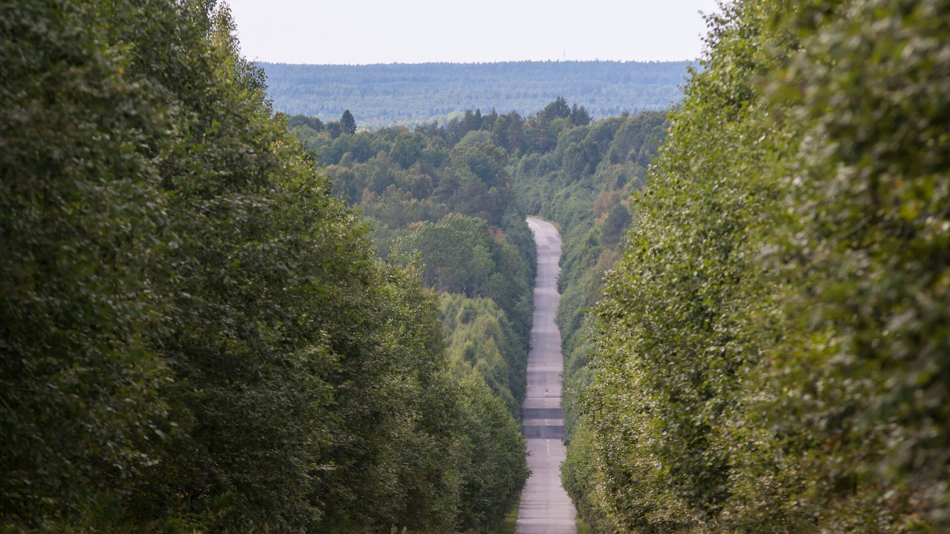 The road in Karelia - RIA Novosti, 1920, 03/27/2021