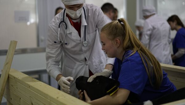 V Национальный чемпионат WorldSkills в Краснодаре. Соревнования в компетенции Ветеринария V Национальный чемпионат WorldSkills в Краснодаре. Соревнования в компетенции Ветеринария