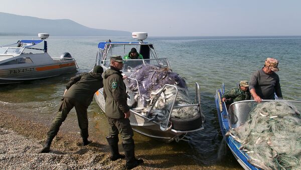 Рейд оперативной группы Баргузин, в ходе которого было изъято более двух километров сетей Рейд оперативной группы Баргузин, в ходе которого было изъято более двух километров сетей