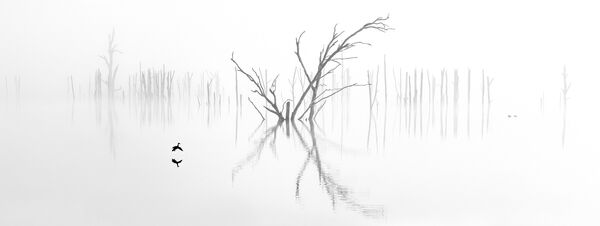 Работа участника фотоконкурса The EPSON International Pano Awards Работа участника фотоконкурса The EPSON International Pano Awards