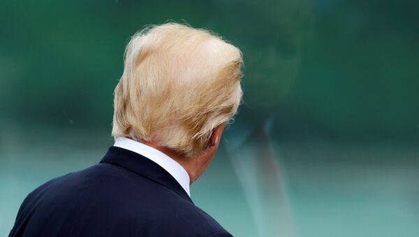 Президент США Дональд Трамп перед совместным фотографированием лидеров экономик форума АТЭС. 11 ноября 2017 Президент США Дональд Трамп перед совместным фотографированием лидеров экономик форума АТЭС. 11 ноября 2017