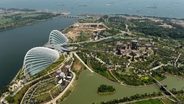 Сады Gardens by the Bay в Сингапуре Сады Gardens by the Bay в Сингапуре
