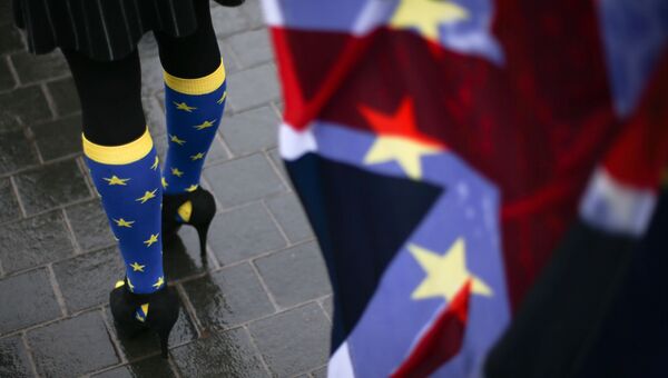 Участница протеста против Brexit у парламента Лондона. Архивное фото Участница протеста против Brexit у парламента Лондона. Архивное фото