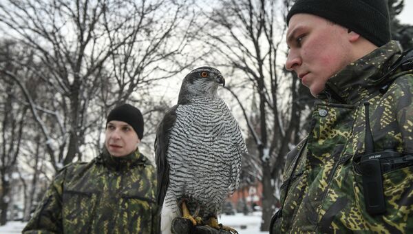 Военнослужащие Соколиной службы комендатуры Московского Кремля с ястребом Военнослужащие Соколиной службы комендатуры Московского Кремля с ястребом