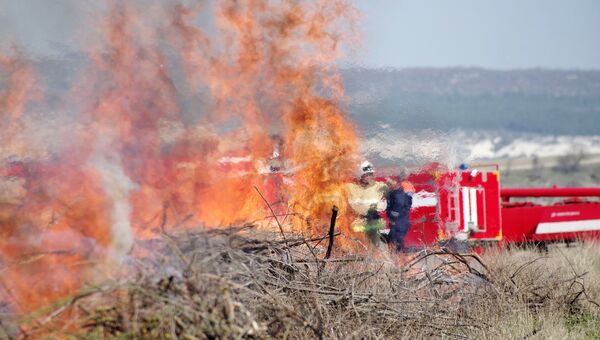 Сотрудники пожарной службы во время учений по ликвидации крупного лесного пожара. Архивное фото Сотрудники пожарной службы во время учений по ликвидации крупного лесного пожара. Архивное фото