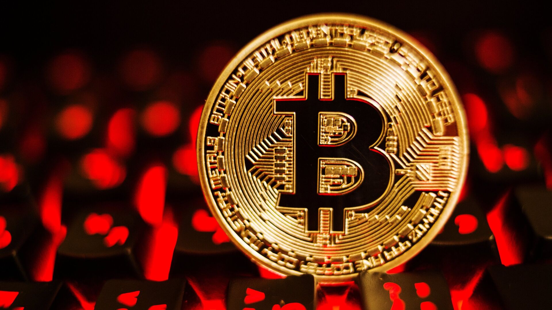 Virtualnaya Valyuta Bitcoin Ria Novosti 08 02 2021