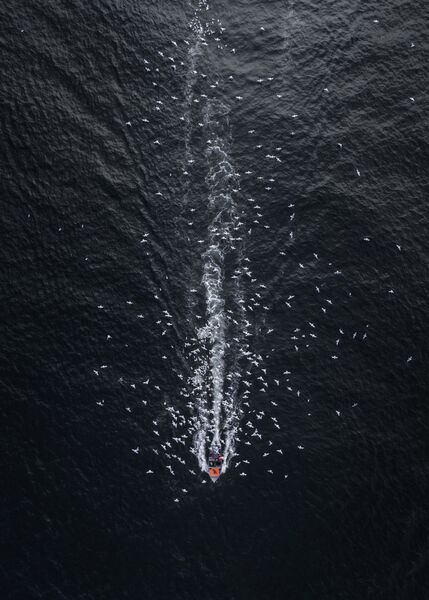 Снимок Комета во тьме (Comet Into Darkness) фотографа Drone Hikers, занявший второе место в категории Пейзаж.Профессионалы Снимок Комета во тьме (Comet Into Darkness) фотографа Drone Hikers, занявший второе место в категории Пейзаж.Профессионалы