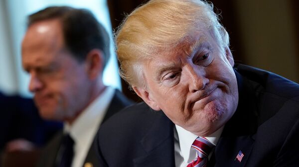 Президент США Дональд Трамп. 13 февраля 2018 Президент США Дональд Трамп. 13 февраля 2018