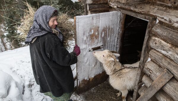 Агафья Карповна содержит коз более 30 лет.
