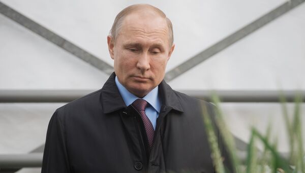 Президент РФ Владимир Путин во время посещения Национального центра зерна имени П. П. Лукьяненко в Краснодаре. 12 марта 2018 Президент РФ Владимир Путин во время посещения Национального центра зерна имени П. П. Лукьяненко в Краснодаре. 12 марта 2018