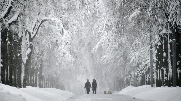 Заснеженная аллея на Воробьевых горах в Москве Заснеженная аллея на Воробьевых горах в Москве