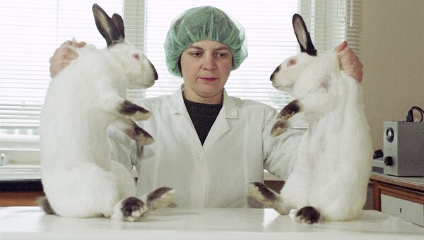 Кандидат биологических наук Марина Мезина держит клонированных кроликов Кандидат биологических наук Марина Мезина держит клонированных кроликов