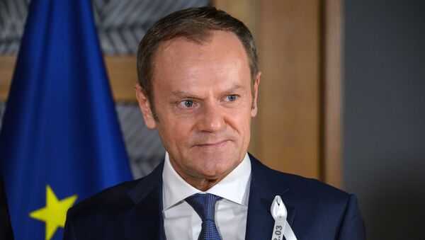 Председатель Европейского совета Дональд Туск. Архивное фото Председатель Европейского совета Дональд Туск. Архивное фото