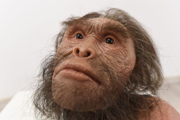 Реконструкция вида древних людей Homo naledi Реконструкция вида древних людей Homo naledi