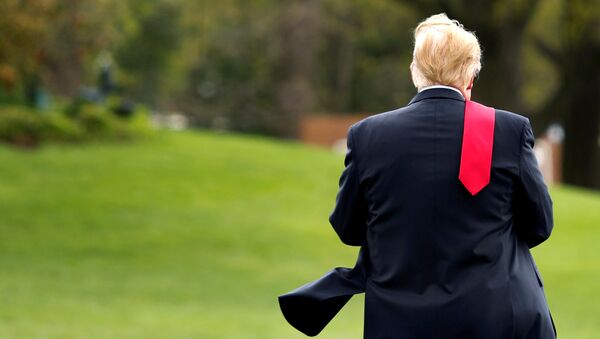 Президент США Дональд Трамп. Архивное фото Президент США Дональд Трамп. Архивное фото