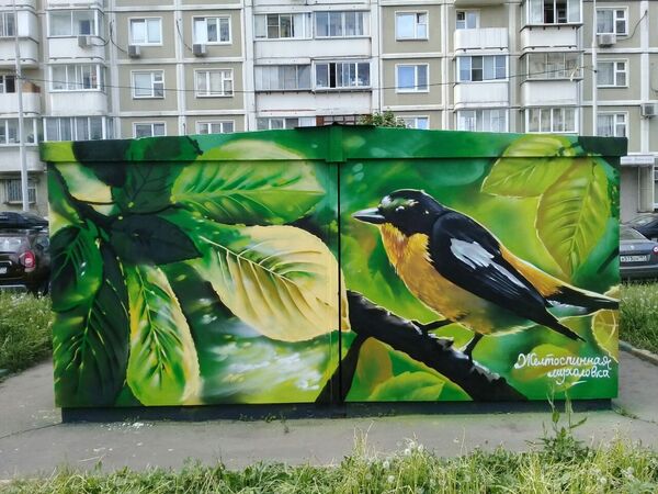 Желтоспинная мухоловка на улице Перерва,59б Желтоспинная мухоловка на улице Перерва,59б